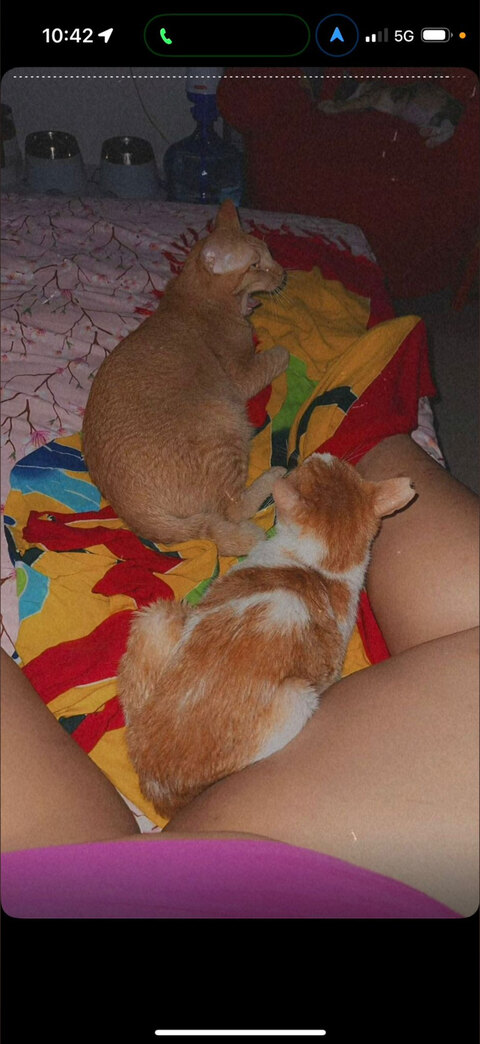 brown_hot onlyfans leaked picture 1