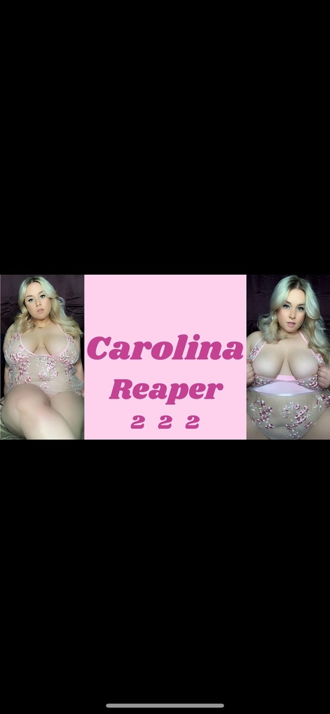 carolinequinnx onlyfans leaked picture 1