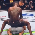 freestylebender avatar