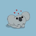 koalabear92 avatar