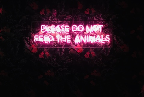 miahh55 onlyfans leaked picture 1