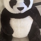 pandasticpron onlyfans leaked picture 1