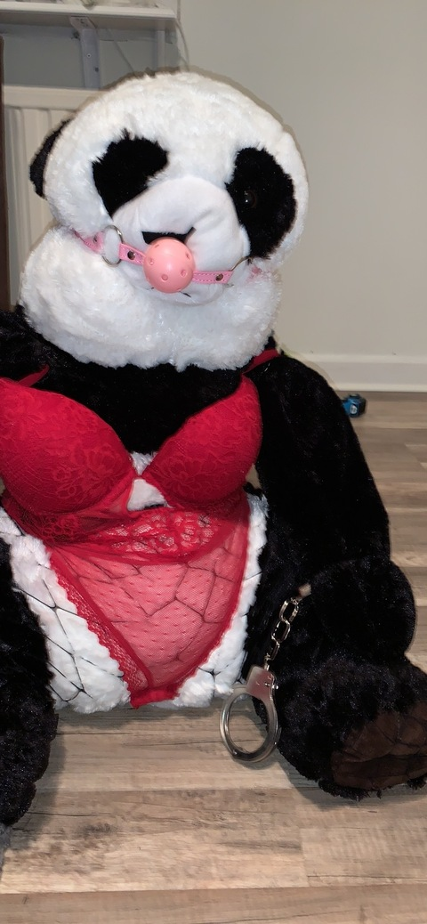 pandasticpron onlyfans leaked picture 1