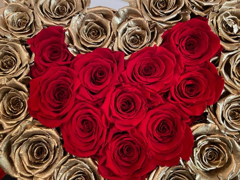 selenaaasasmr (SelenaaasAsmr) OnlyFans content - NudityOnly