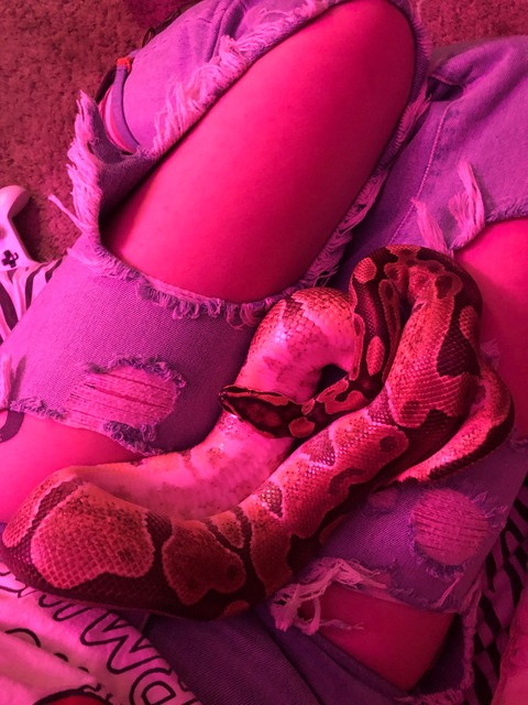 strawberrypython onlyfans leaked picture 1