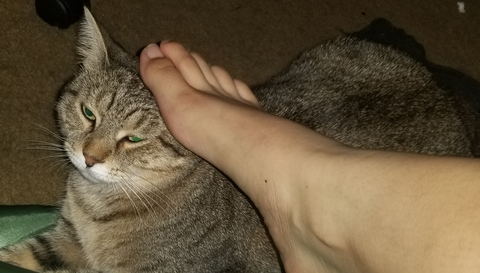 toes_hime onlyfans leaked picture 1