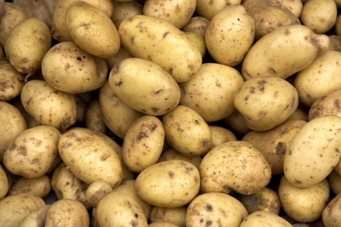 wholepotato onlyfans leaked picture 1