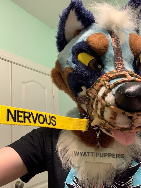 wyattpuppers onlyfans leaked picture 1