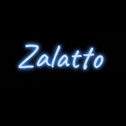 zalattoworld2021 onlyfans leaked picture 1